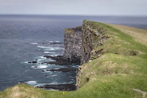Rugged cliffs covered in greenery and populated by birds. Stock Photos