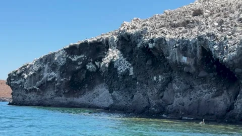 Rugged Cliffside on Rocky Coast Stock Footage 293741165