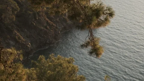 A rugged coast with pine trees overhanging the gently waving Mediterranean Sea Stock Footage 331200658