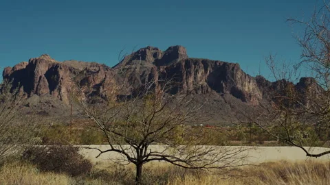 Rugged desert mountain behind bare tree Arizona Stock Footage 347967397