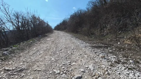 Rugged dirt path winds through barren trees. Balkan, Eastern Europe, POV Stock Footage 331450495