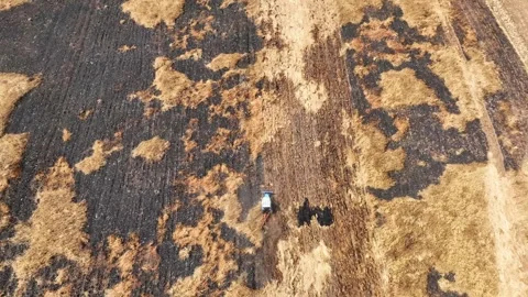 A rugged expanse, alternating between parched soil and golden foliage. Stock Footage 274938743