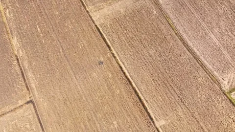 A rugged expanse, alternating between parched soil and golden foliage. Stock Footage 274938897