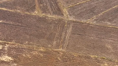 A rugged expanse, alternating between parched soil and golden foliage. Stock Footage 274938908