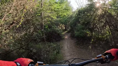 Rugged Forest Trail Ride POV — Mountain Biking Through the Woods Vídeos de archivo 332458060
