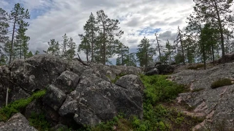 Rugged granite rocks and pine forest on Aavasaksa hill summit Lapland Finland 動画素材 340653422
