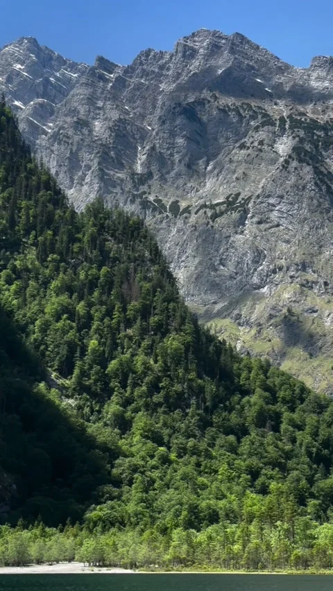 Rugged grey mountain massif with green forested slopes Bavaria Stock Footage 341768942