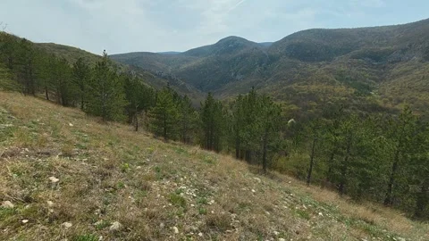 Rugged hills roll under a soft, clear sky. Mount Ozren, Serbia Vidéo 332728950