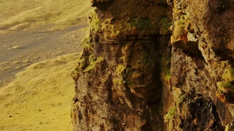 Rugged Icelandic Landscape with Moss Covered Cliffs and Grassy Fields Stock Footage 320199039
