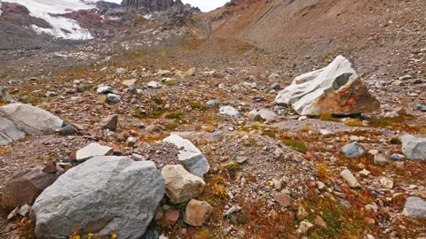 Rugged Landscape View of Glacier Basin Trail, Mount Rainier National Park Stock Footage 332144746