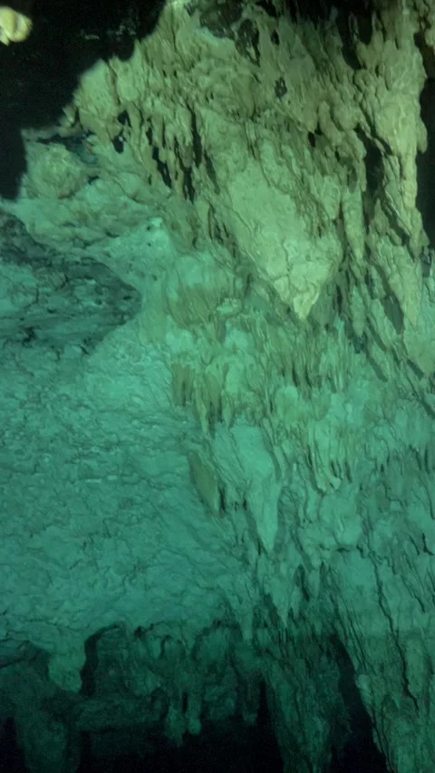 Rugged limestone ceiling inside an underwater cavern 스톡 동영상 341360910