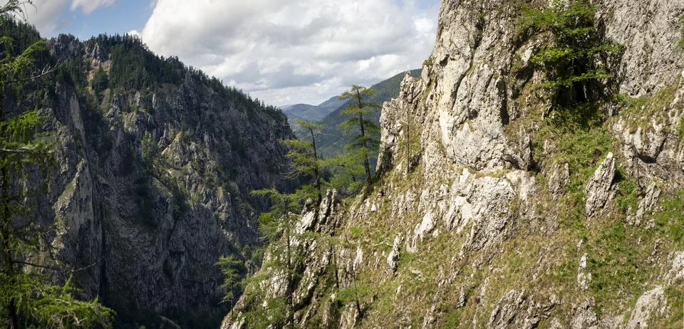 Rugged Limestone Cliffs and Forested Mountain Ridges Framing Dramatic Alpin.. Stock-Fotos