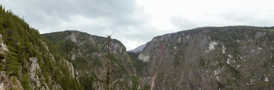 Rugged Limestone Mountain Cliffs and Forested Alpine Valley Beneath Cloudy .. Stock-Fotos