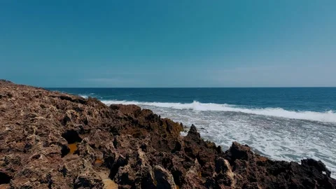 Rugged Million-Year-Old Ancient Coral Reef Shelf and Ocean Waves Stock Footage 337582985