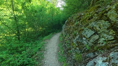 Rugged, mossy rocks line the trail's edge. Gradasnica River Canyon, Serbia Vídeo Stock 341962395