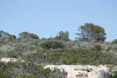 Rugged Mountain Excursion with Rocks and Bushes Stock Photos
