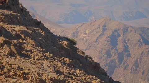 Rugged Mountain Landscape View from the Road Near Fins, Oman Video stock 324854340