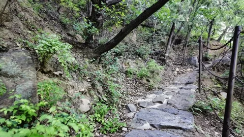 Rugged Mountain Path Shaded by Green Trees Stock Footage 318565164