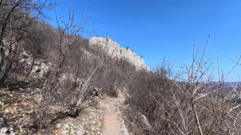 Rugged mountain path winds through bare trees. Balkan, Eastern Europe, POV Video stock 331454547