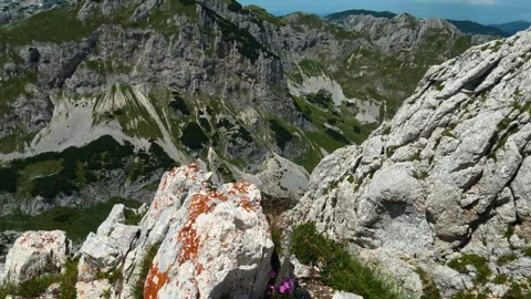 Rugged mountain path winds through green grass. Savin Kuk peak, Montenegro 库存影片 342978592