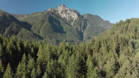 Rugged mountain peak and evergreen forest in British Columbia. 4K 24FPS. 스톡 동영상 147049667