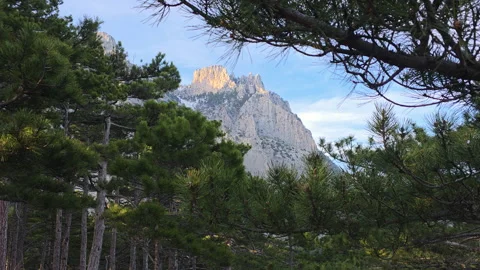 Rugged mountain peak bathed in sunlight, framed by vibrant pine branches and Video stock 335270222
