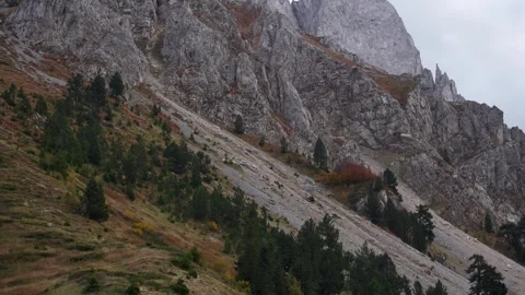 Rugged mountain peaks tower over a dense pine forest. Stock Footage 254037581