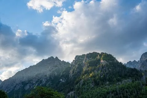 Rugged mountain ridge covered with forest under towering white cumulus clouds Stock Photos