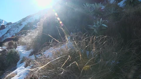 Rugged mountain side. Stock Footage 49844338