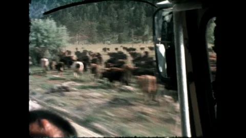 Rugged Mountain View Stock Footage 278040098