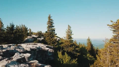 Rugged Mountainside Flying Between Pine Trees Dolly Sods Aerial Cinematic Stock Footage 133578045