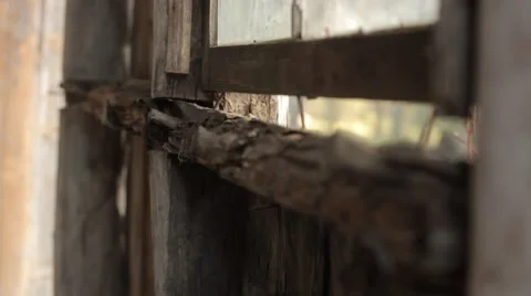Rugged old window, focus pull Stock Footage 52317424