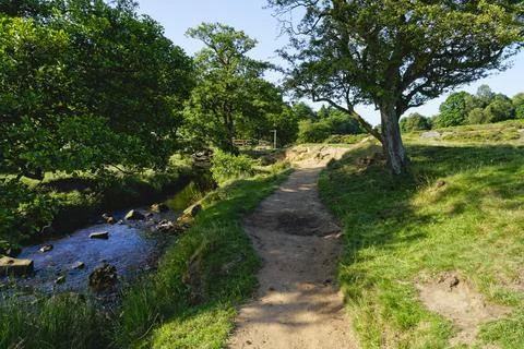 Rugged path besides Burbage Brook leading to a wooden bridge Foto stock
