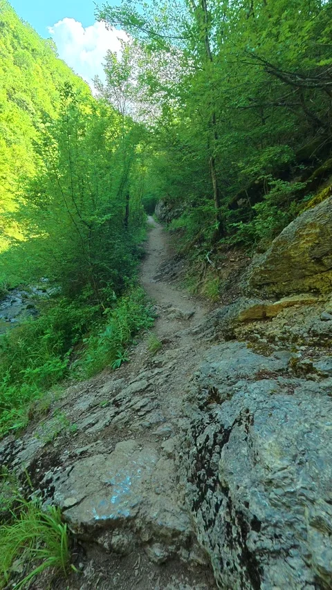 Rugged path winds between mossy rocks. Gradasnica River Canyon, Vertical Vídeo Stock 341966833