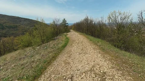 Rugged path winds through spring woods and hills. Mount Ozren, Serbia Vidéo 332730000