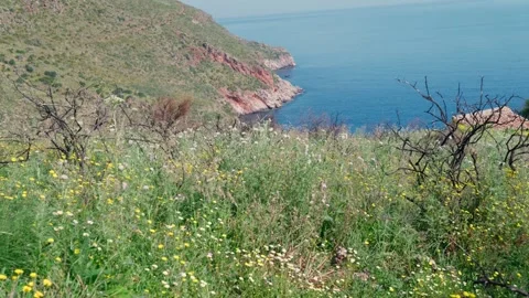 Rugged red cliffs frame a sweeping bay along the Sicilian coastline 库存影片 341338599