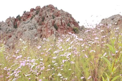 Rugged Red Cliffs 스톡 사진