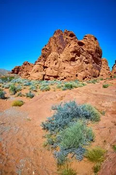 Rugged Red Rock Formations Under Blue Sky in Valley of Fire Low Angle View 스톡 사진