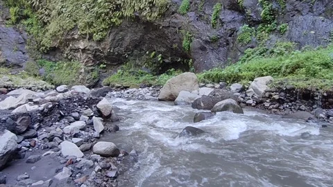 Rugged River Landscape: Water &amp; Ancient Rocks Stock Footage 311447418
