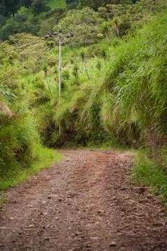 Rugged Road Stock Photos