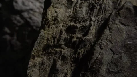 Rugged rock close-up with textured surface. Stock Footage 291268487