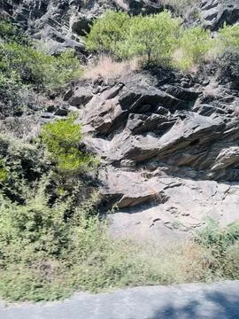 Rugged Rock Cut and Sparse Scrub Vegetation Stock Photos