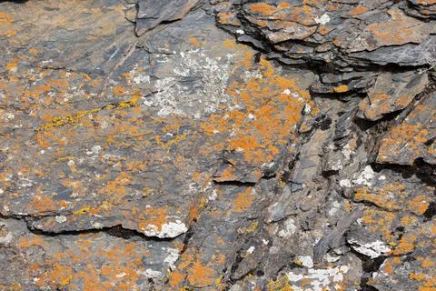 Rugged rock surface covered in orange and grey lichen outdoors Stockfoto's