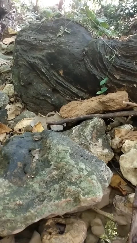Rugged Rocks and Debris Stock Footage 331106359
