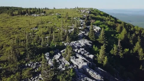Rugged Rocks and Pine Trees at Edge of Mountain Aerial Orbit Dolly Sods Video stock 134960295