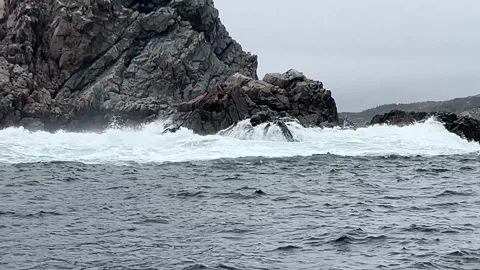 Rugged rocky coastal cliffs with ocean waves crashing against shore Newfoundland 動画素材 343008651