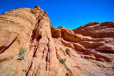 Rugged Sandstone Formations in Valley of Fire Low Angle View Stockfoto's