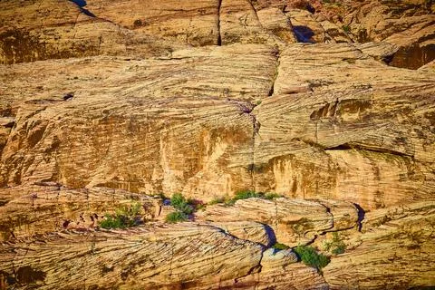 Rugged Sandstone Patterns with Greenery at Eye Level Stock Photos