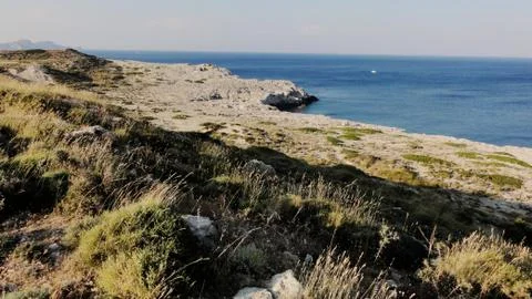 Rugged seashore Stock Photos