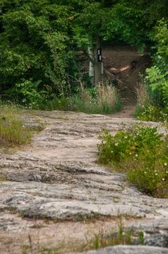Rugged Stone Path Through Lush Greenery Into a Narrow Trail Entrance Stock Photos